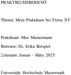 praktikum-report-vorlage-mein-praktikum-bei-firma-xy