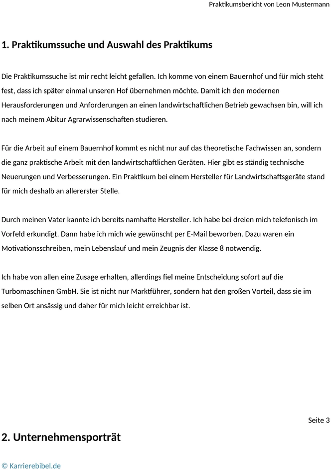 praktikumsbericht-muster-vorlage
