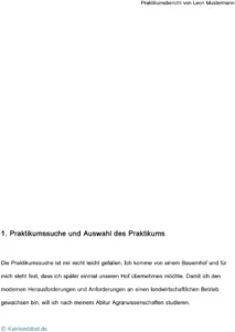 praktikumsbericht-vorlage-strukturierte-darstellung-erfahrungen