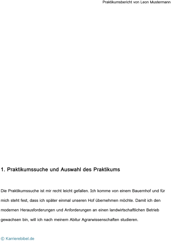 praktikumsbericht-vorlage-strukturierte-dokumentation-von-praktikumserfahrungen