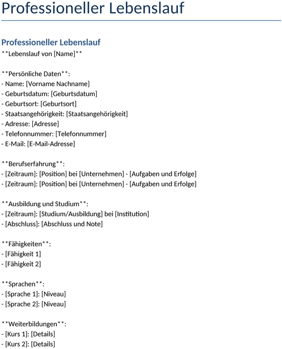 professioneller-lebenslauf-template