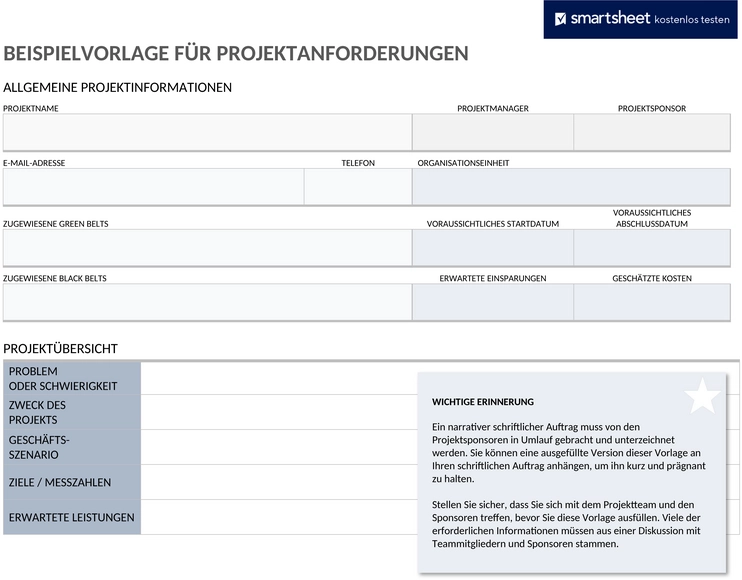 projekt-anforderungen-beispiel-word