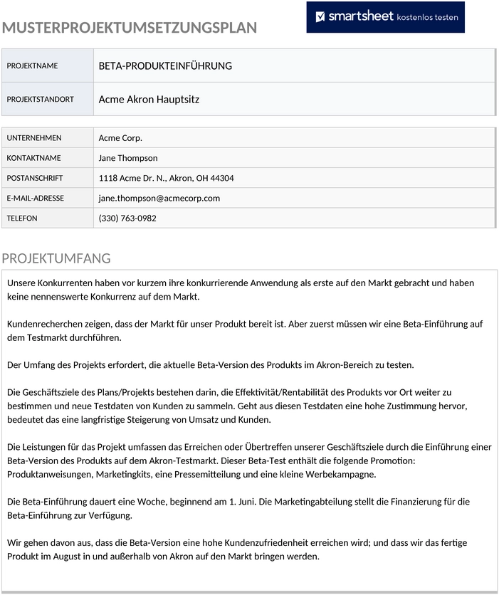 projekt-ausfuehrungsplan-muster-11095-word-de