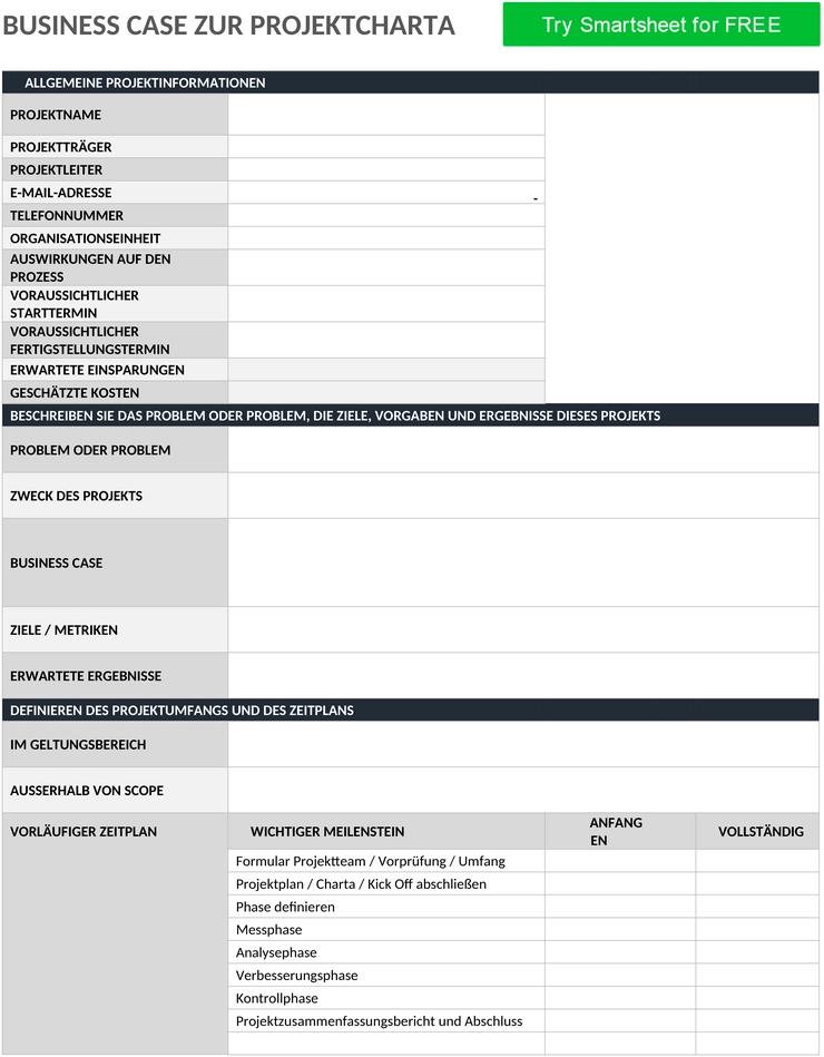 projekt-charter-business-case-word