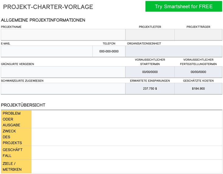 projekt-charter-vorlage-fuer-effizientes-projektmanagement