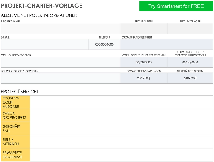 projekt-charter-vorlage-fuer-optimale-projektplanung