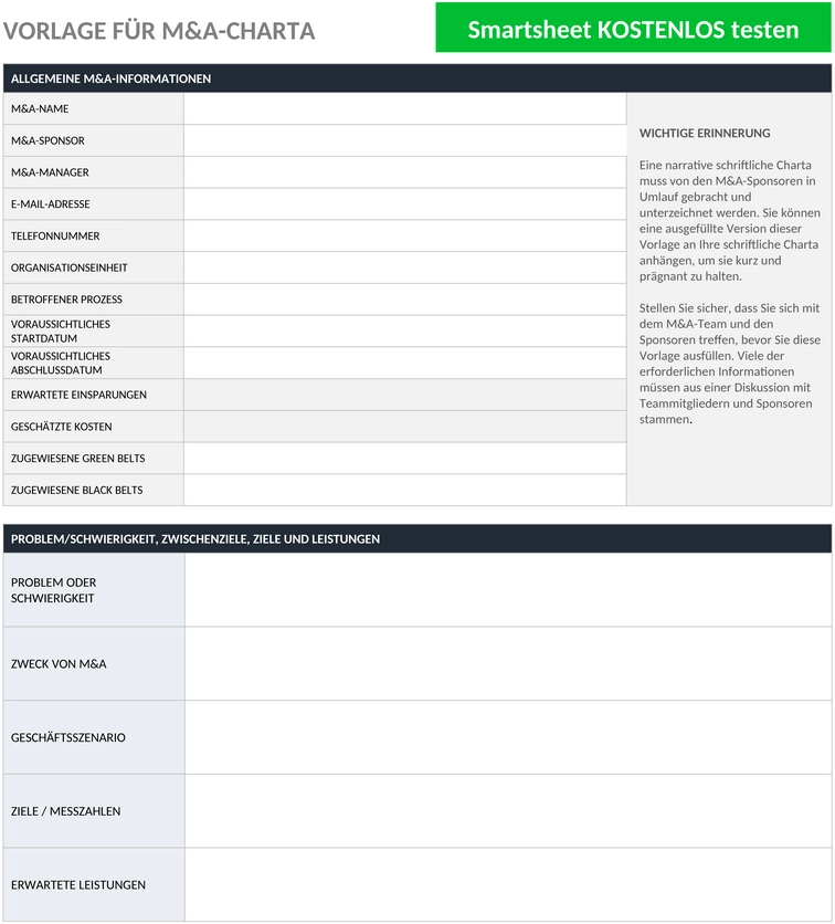 projekt-charter-vorlage-word