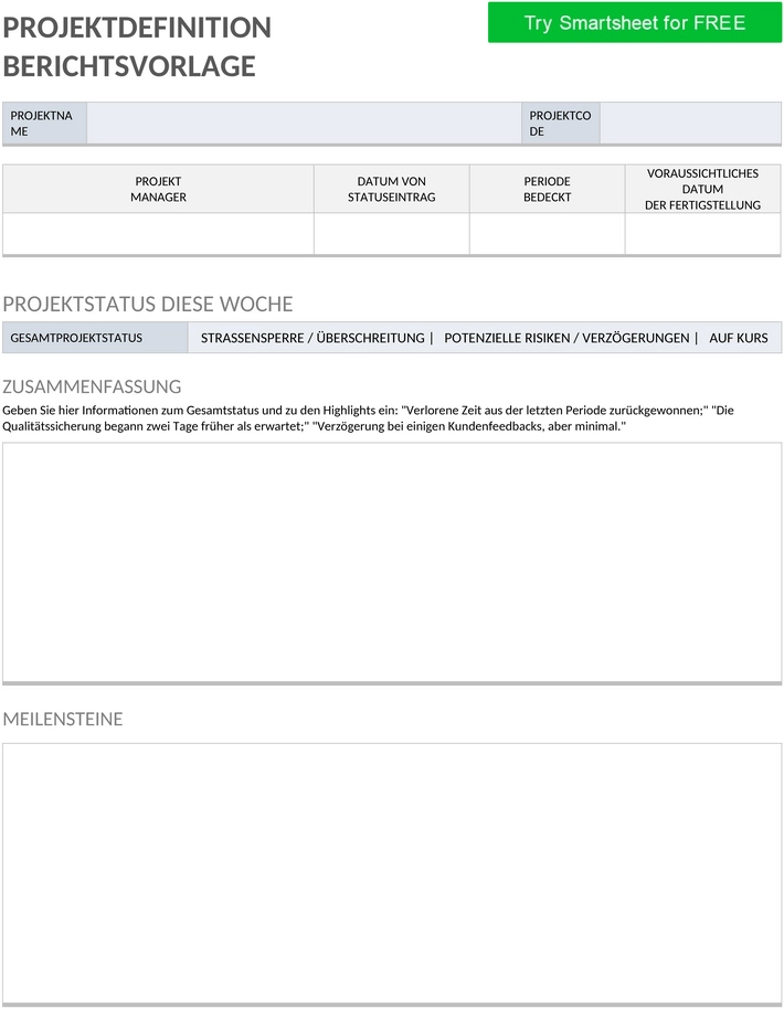 projekt-definition-bericht-word