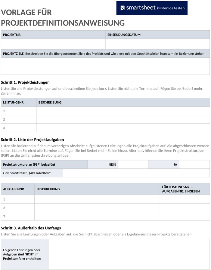 projekt-definition-statement-11338-word-de