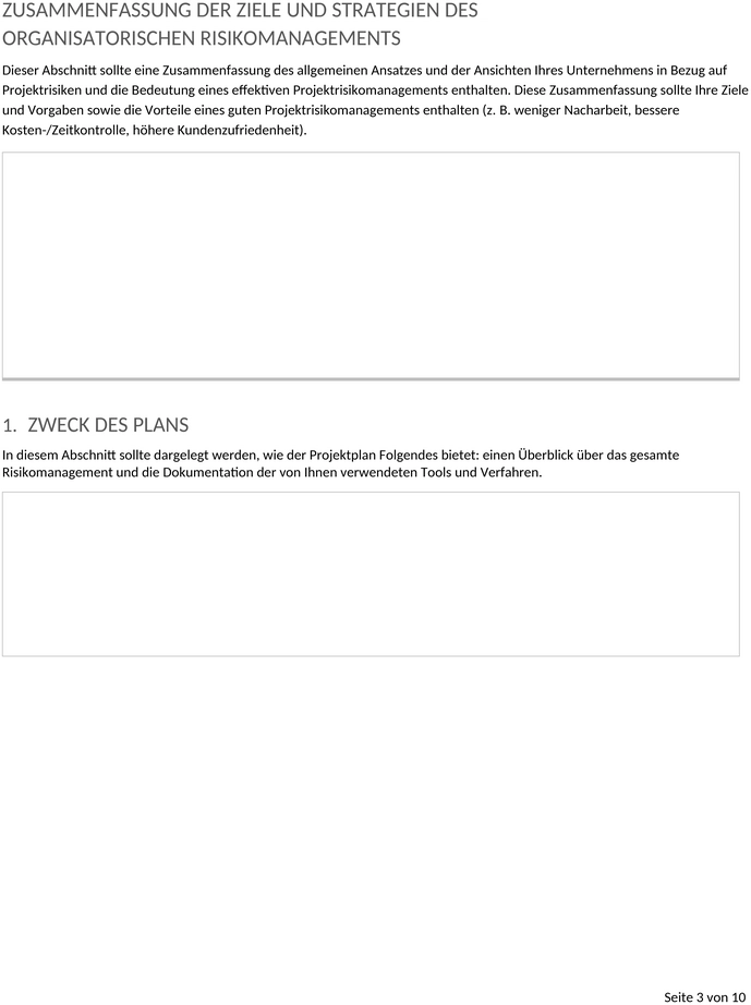 projekt-risikomanagement-plan_word_de