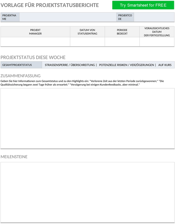 projekt-status-bericht-vorlage-49521-word-de