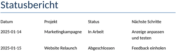 projekt-statusbericht