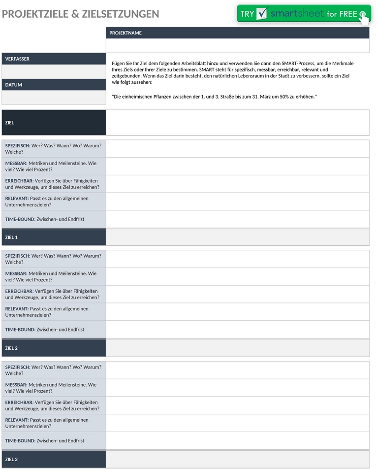 projekt-ziele-und-aufgaben-template-word