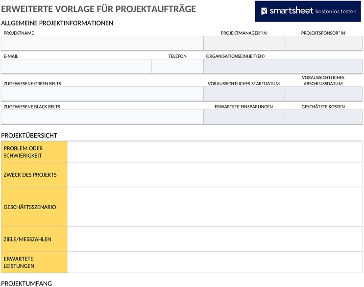 projektauftrag-vorlage-fuer-microsoft-word