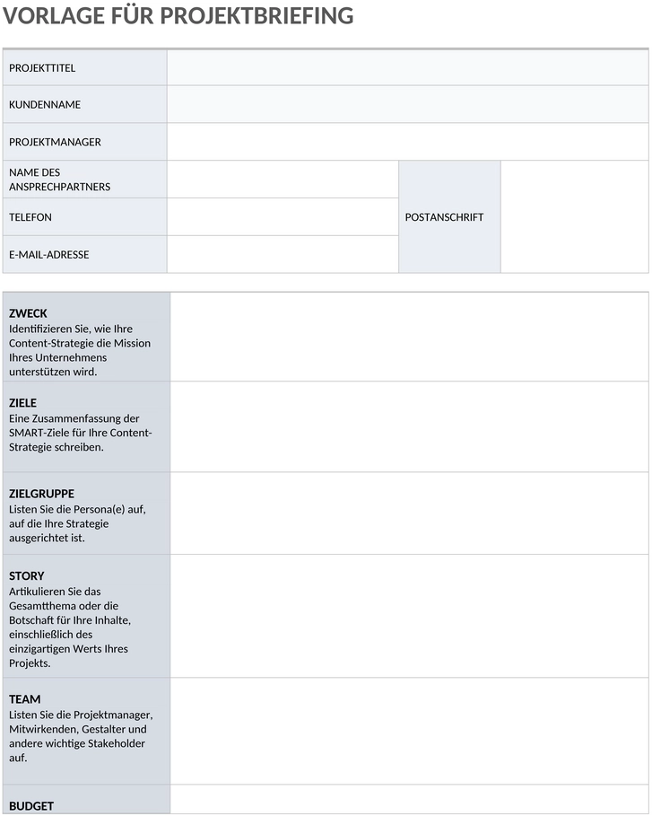 projektbrief-beispiel-11540-word