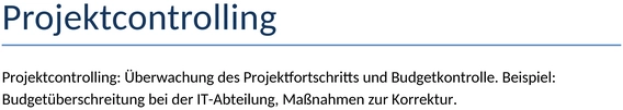 projektcontrolling-vorlage