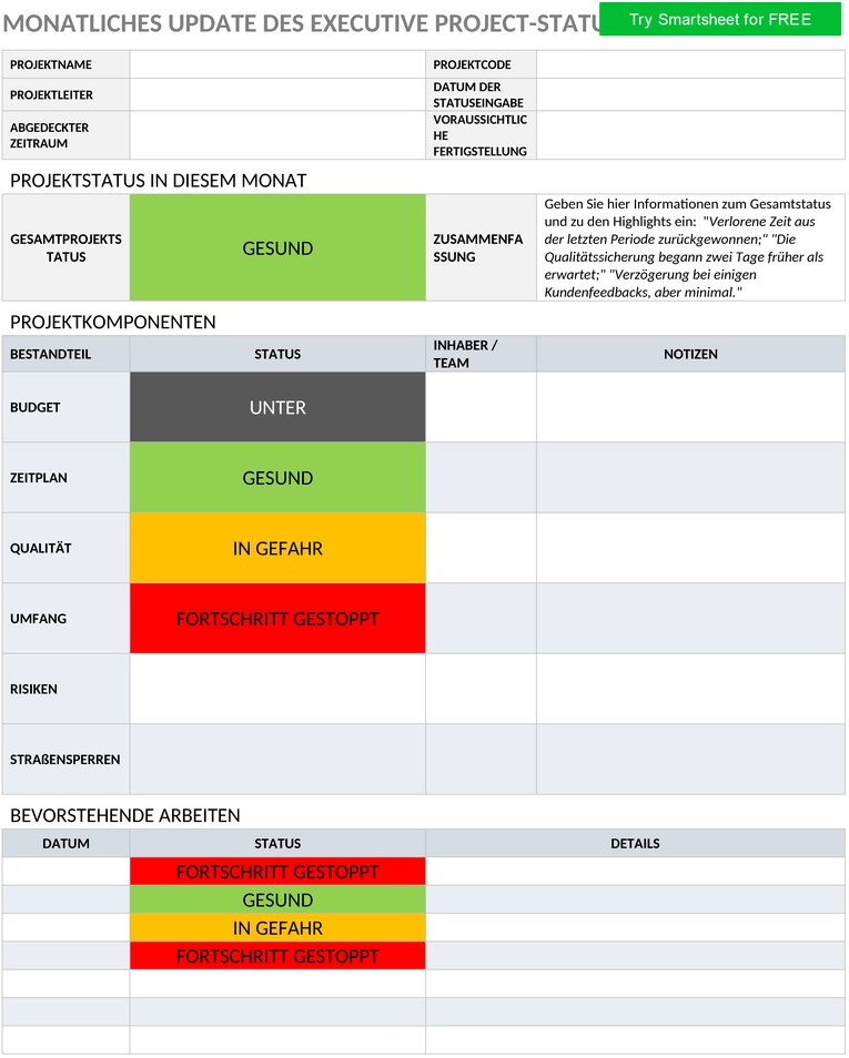 projektmanagement-executive-update-word