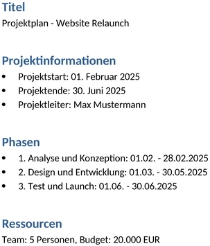 projektplan-vorlage