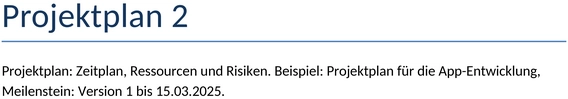 projektplan-vorlage