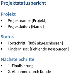 projektstatusbericht