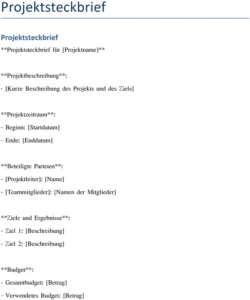 projektsteckbrief-vorlage-fuer-projektmanagement-organisation-und-planung