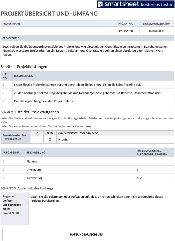 projektuebersicht-und-umfang-vorlage