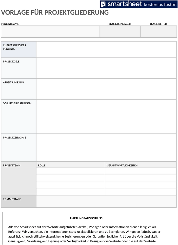 projektumriss-vorlage-11556-word