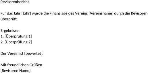 revisorenbericht-verein