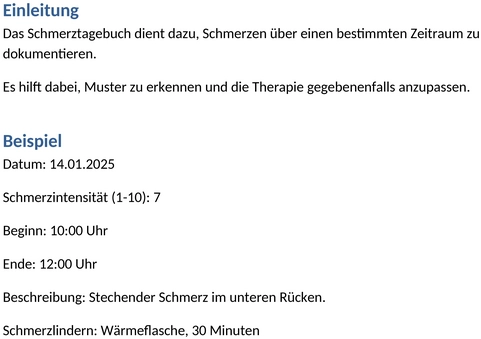 schmerztagebuch-2