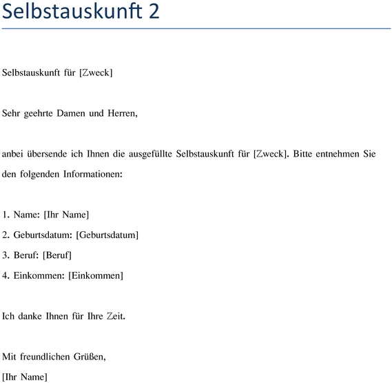 selbstauskunft-finanzielle-persoenliche-darstellung