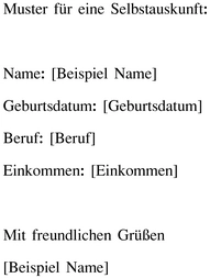 selbstauskunft-vorlage-finanzen-vertraege