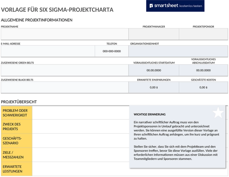 six-sigma-projekt-charter-leer-formular