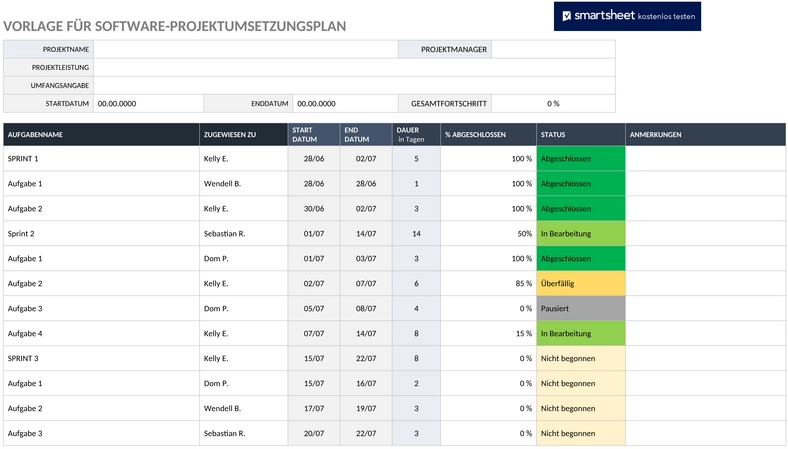 software-projekt-ausfuehrungsplan-11095-word-de