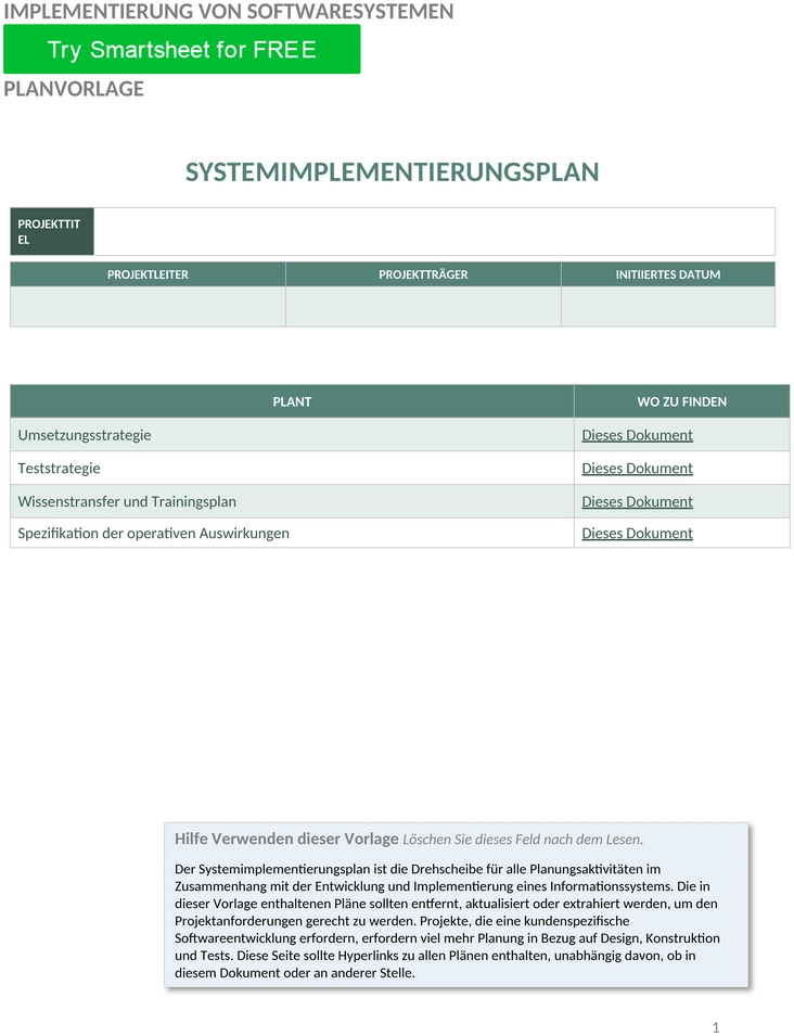 software-system-implementierungsplan-word