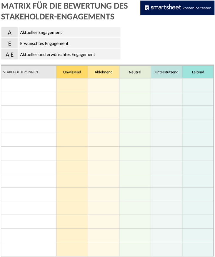 stakeholder-engagement-assessment-matrix-vorlage