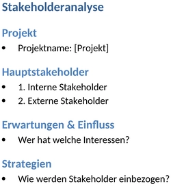 stakeholderanalyse-vorlage