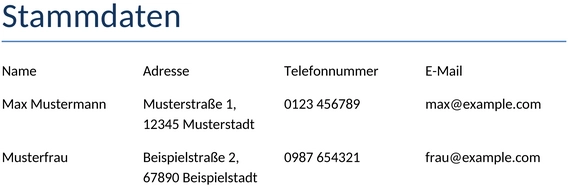stammdaten-verwaltung