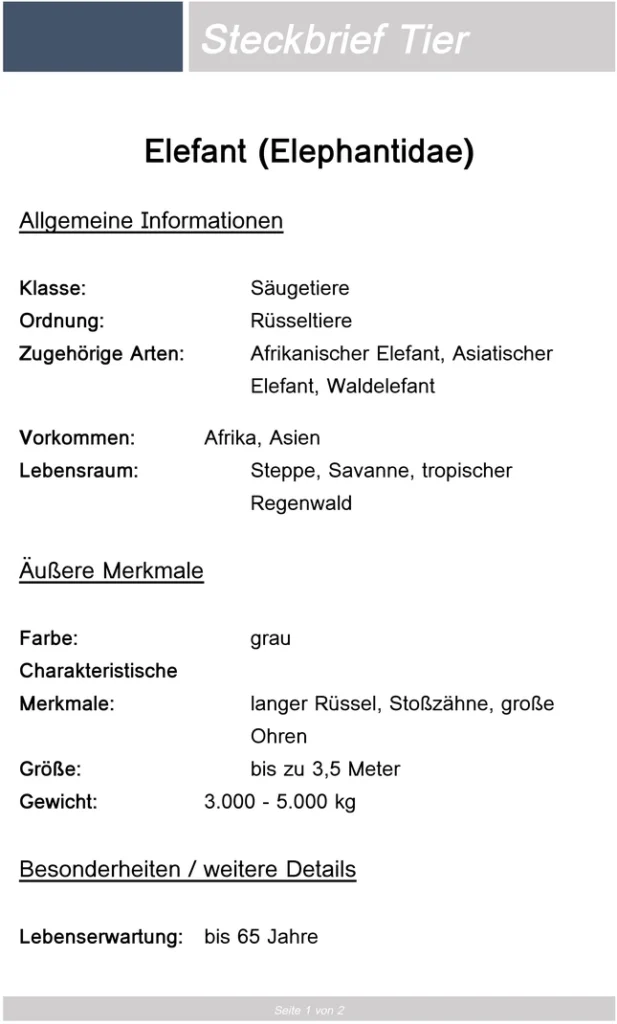 steckbrief-tier-elefant-vorlage