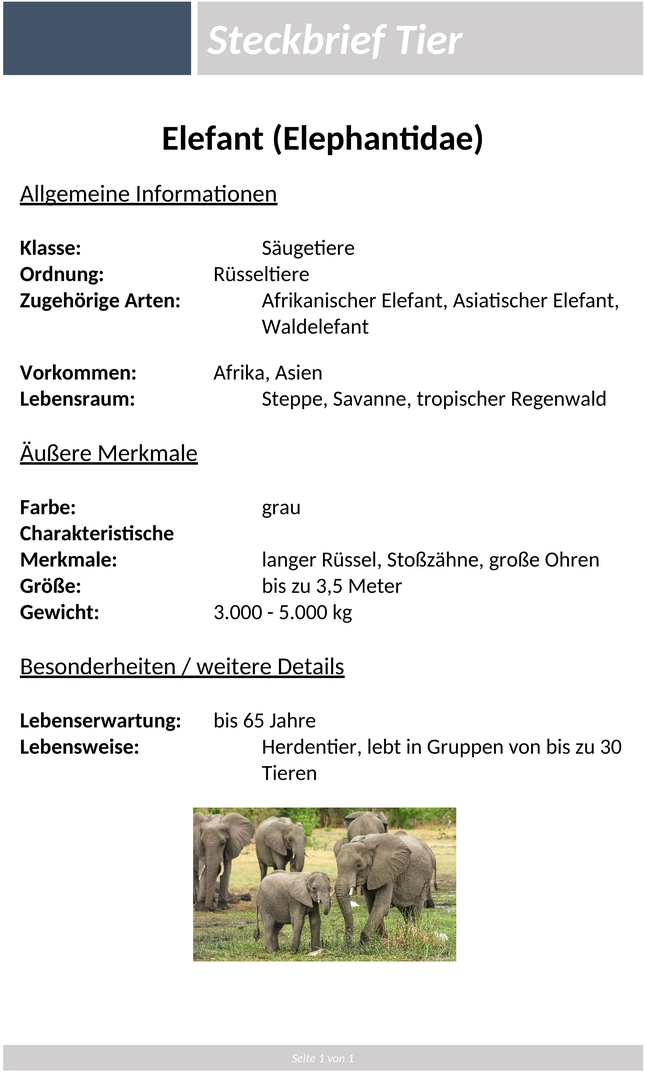 steckbrief-tier-vorlage