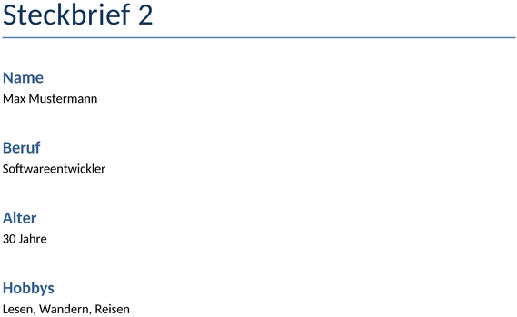 steckbrief-vorlage