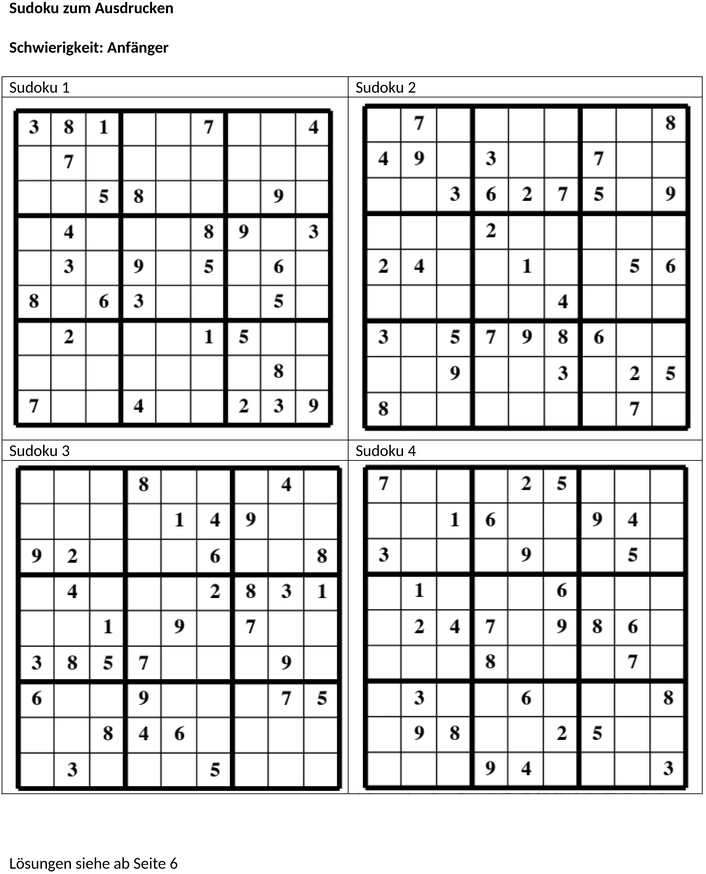 sudoku-einsteiger