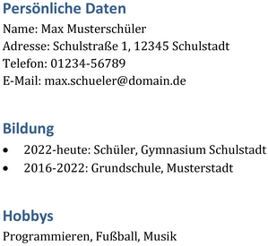 tabellarischer-lebenslauf-fuer-schueler