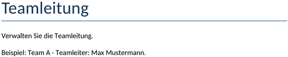 teamleitung-management-vorlage