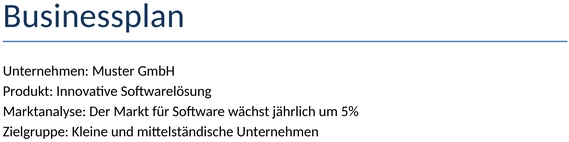 unternehmenskonzept-plan