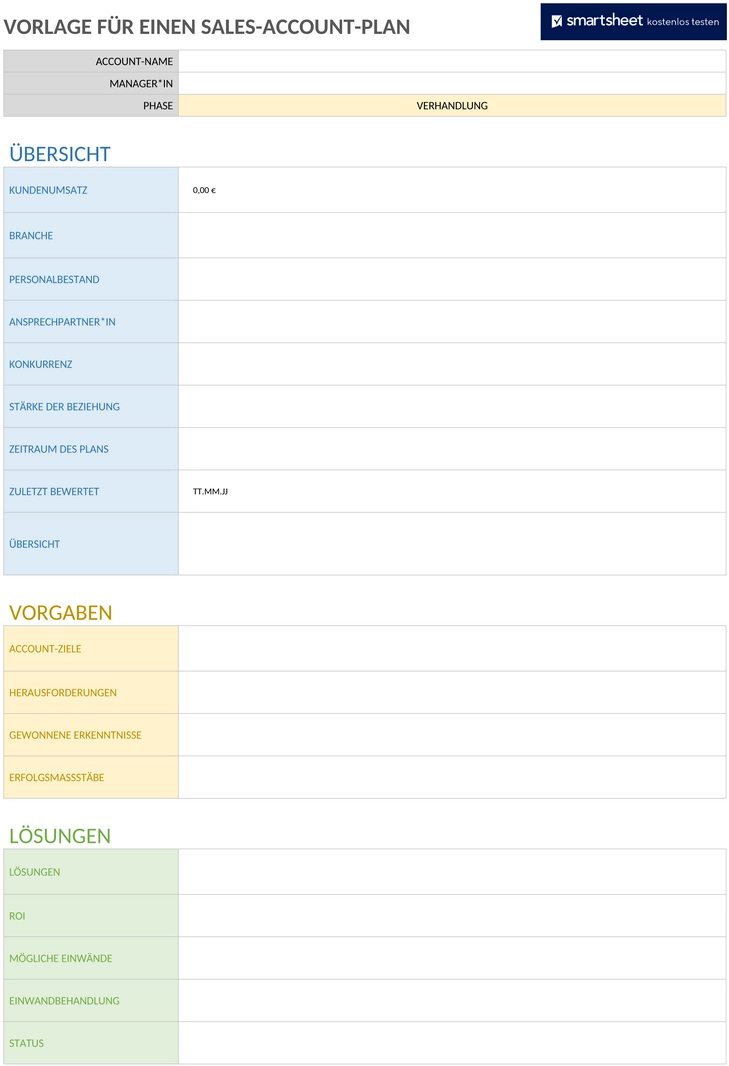 vertriebs-account-plan-word