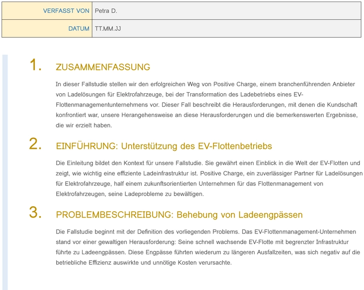 vorlage-fallstudienbericht-marketing-analyse