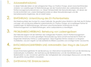 vorlage-fallstudienbericht-marketing-strategie