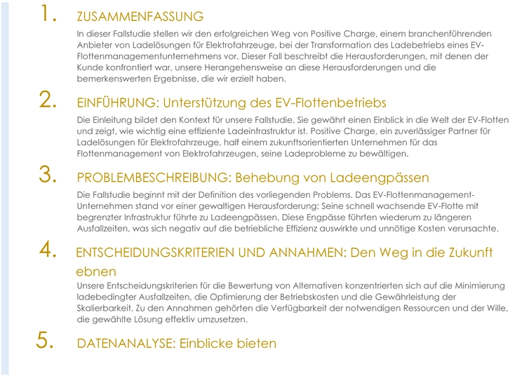 vorlage-fallstudienbericht-marketing-strategie