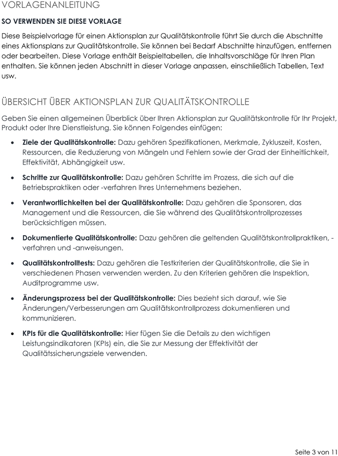 vorlage-fuer-aktionsplan-zur-qualitaetskontrolle