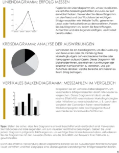 vorlage-fuer-eine-projektfallstudie
